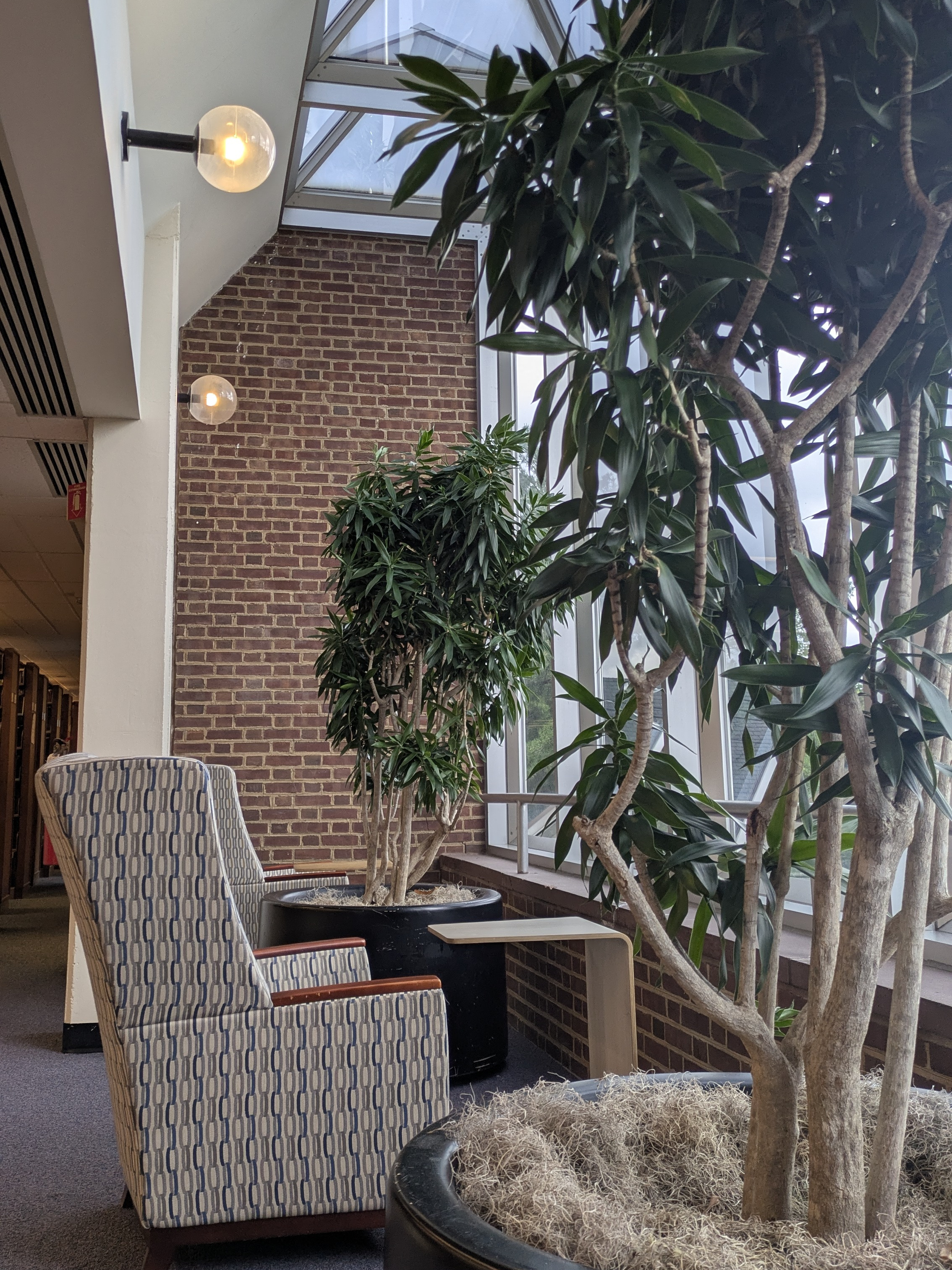 Study spot