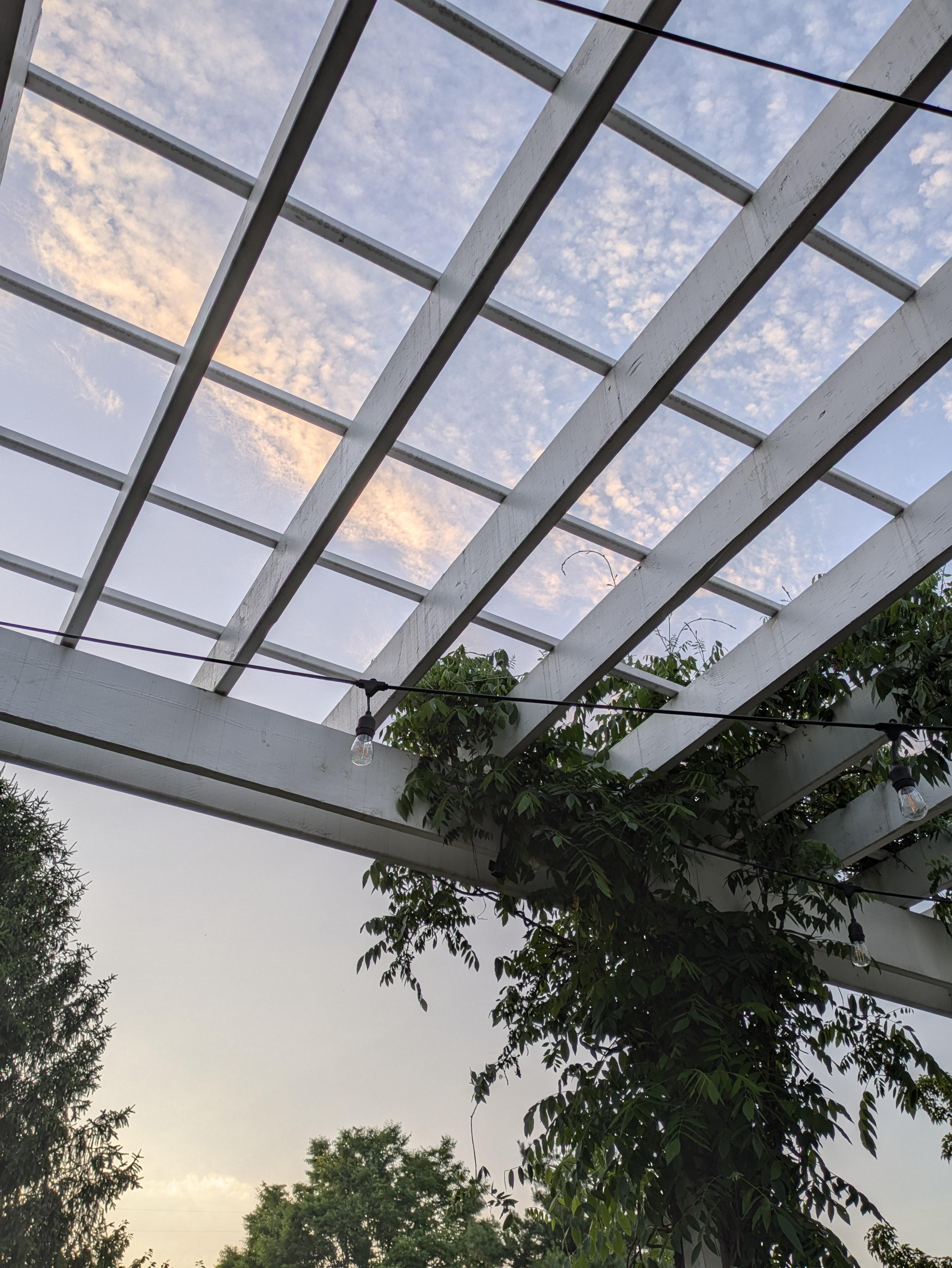 A picture of the sky through a Pergola, with a vine plant growing upwards.